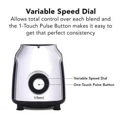 Tribest Glass 42 oz. 4-Speed Chrome Personal Blender with Vacuum -Air Fryers shop chrome tribest countertop blenders pbg 5001 a 44 1000
