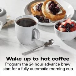 HAMILTON BEACH PROFESSIONAL 12-Cup Silver Programmable Drip Coffee Maker -Air Fryers shop silver hamilton beach professional drip coffee makers 49500 c3 1000